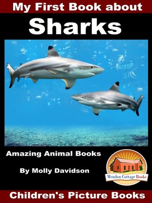 cover image of My First Book about Sharks